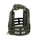 Плитоноска Січ зі швидким скиданням олива (PLATE CARRIER) ARMORUA PL-011 PL-011 фото 3